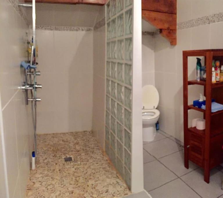 Grande Maison Confortable A Bagneres Ngoại thất bức ảnh