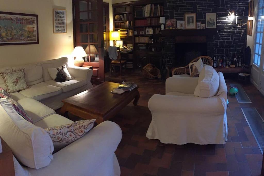 Grande Maison Confortable A Bagneres Ngoại thất bức ảnh